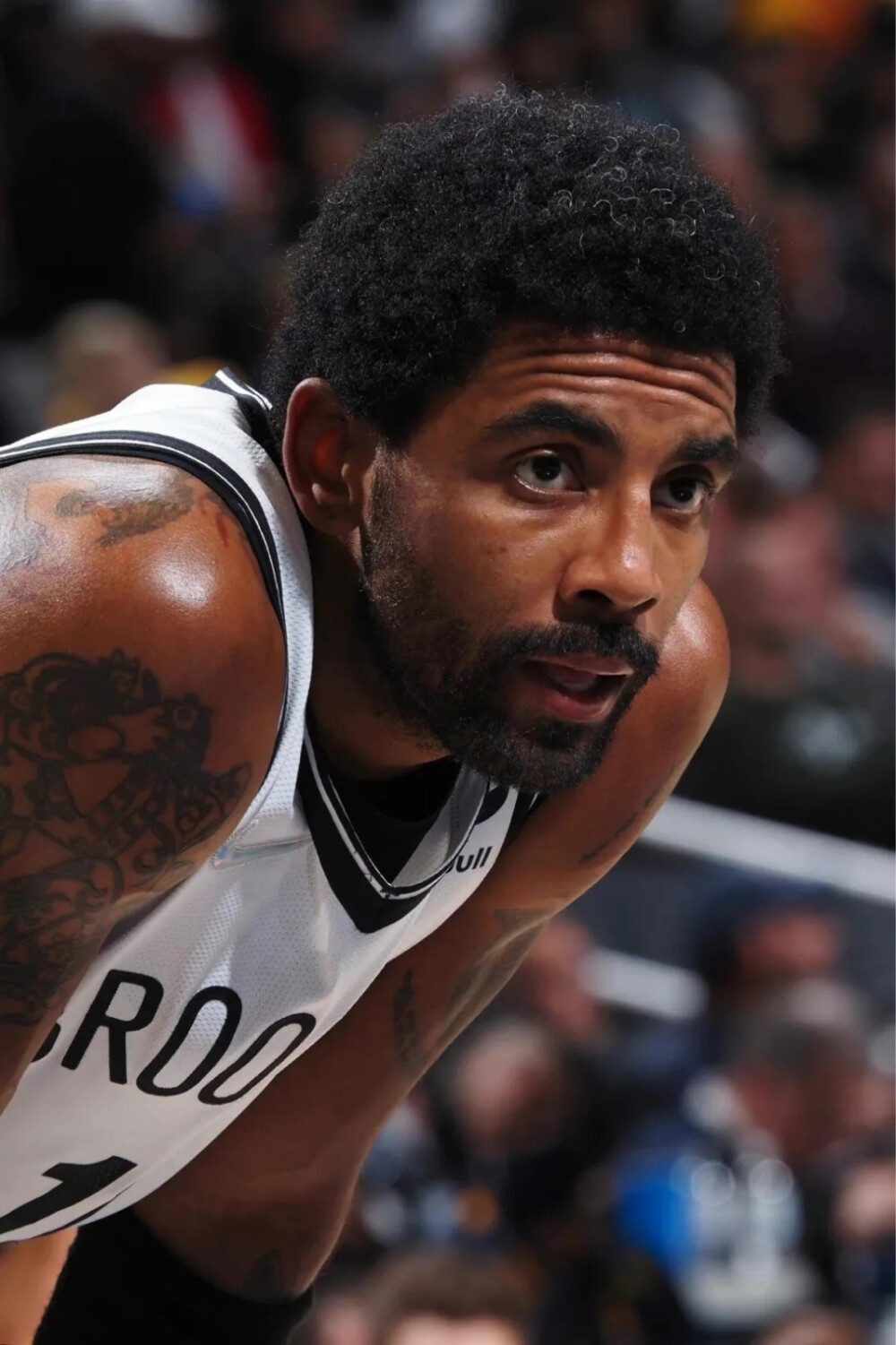 TT痛失好 TT痛失好